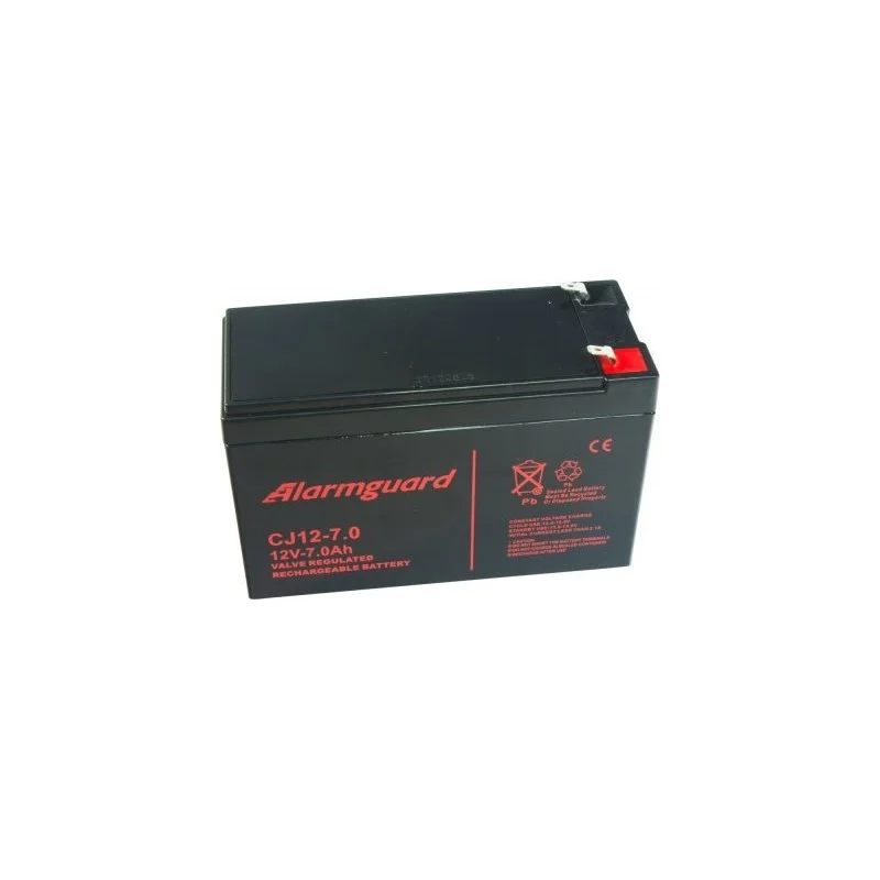 autolamp20260630161836465062