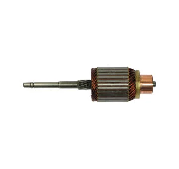 elancar-120260701082904817041