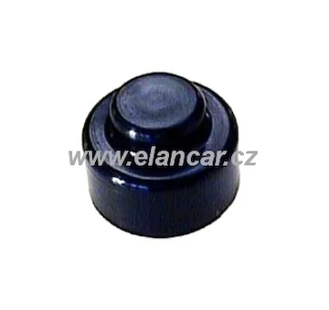 elancar-220260630214632576640