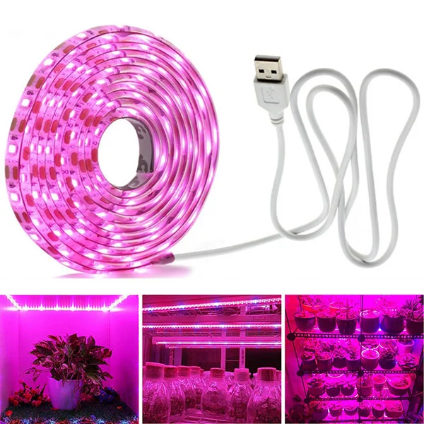 led-expert20260630143253440006