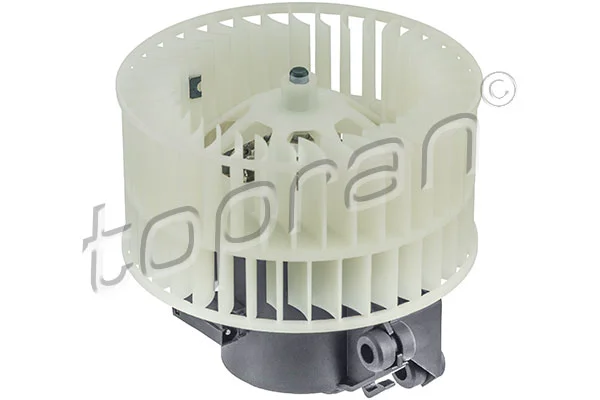 motora-620260630171141476623
