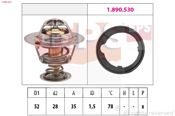 motora-620260630172640482027