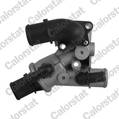 motora-620260630205330557717