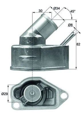 motora-620260630222629592072