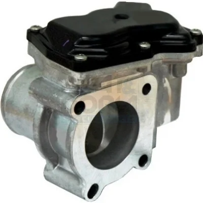 motora-620260630230632607116