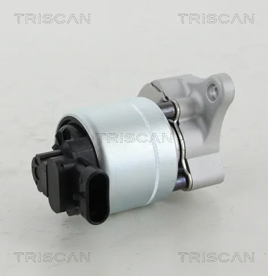 motora-620260701003124639870