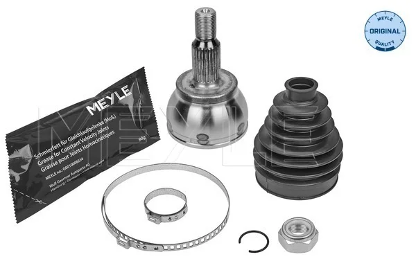 motora-620260701005310647248