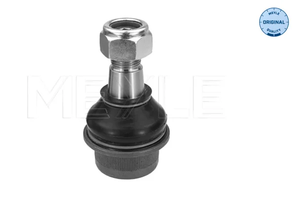 motora-620260701005459647944