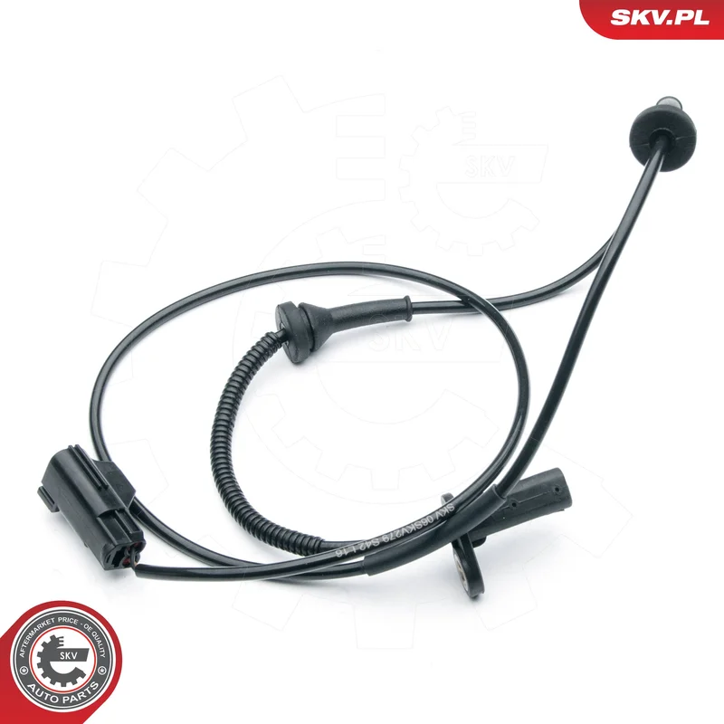 motora-620260701022823680674