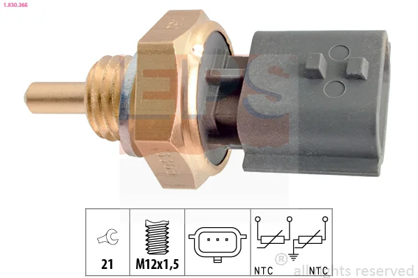 motora-620260701025754690704