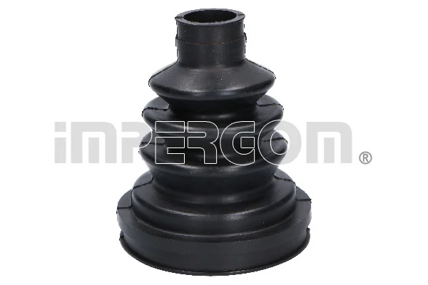 motora-620260701050039740234