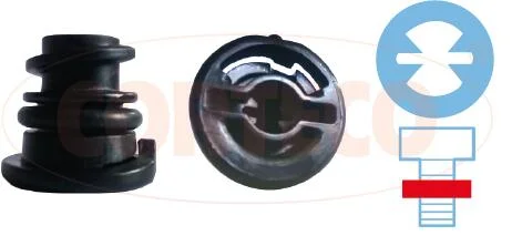 motora-620260701052844751807