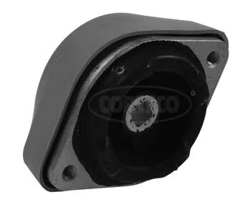 motora-620260701055447761291