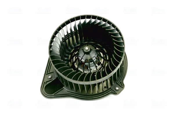 motora-620260701065711783449