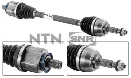 motora-620260701070241785347