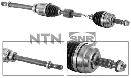 motora-620260701080427808578